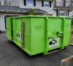 Clean Bin There Dump That Dumpster Rental