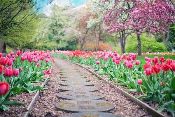 garden path