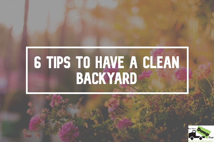 6 Essential Tips to Masterfully Maintan Your Clean Backyard - Clean BackyarD New